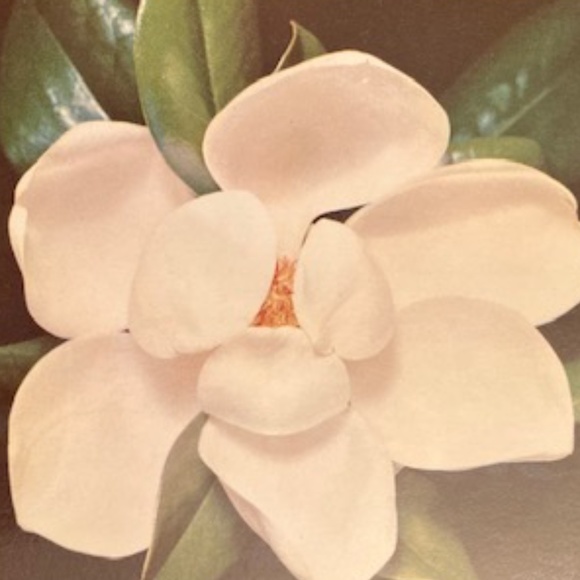 Satin And Tulle Formal Dress - Picture 10 of 10